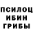 Галлюциногенные грибы ЛСД Stas Nt