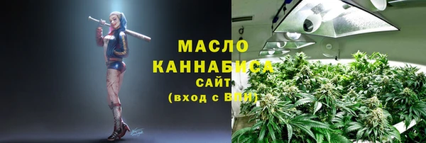 гидра Осинники