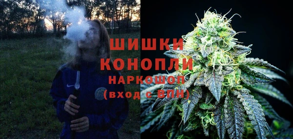 гидра Осинники