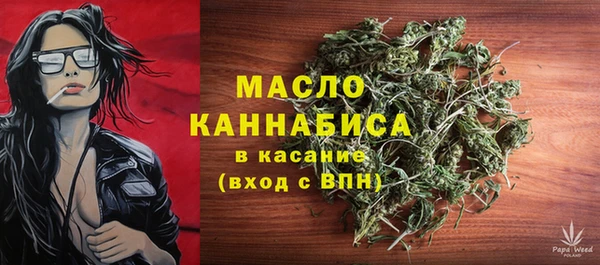 гидра Осинники
