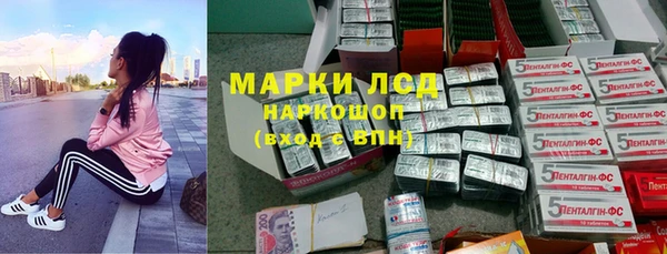 гидра Осинники