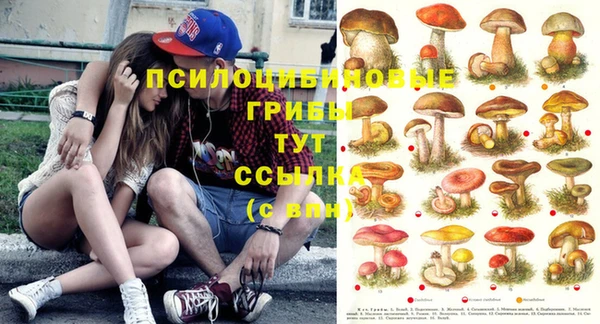 альфа пвп Осташков