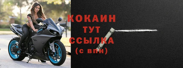 гидра Осинники