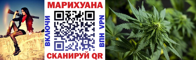 Конопля план  Сольвычегодск 